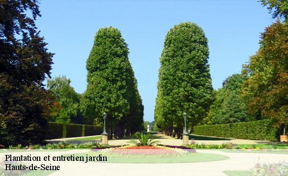 Plantation et entretien jardin Hauts-de-Seine 