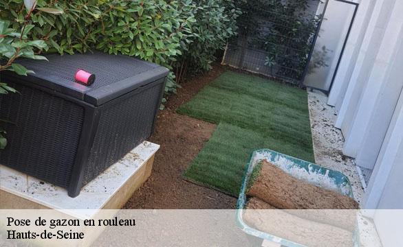 Pose de gazon en rouleau Hauts-de-Seine