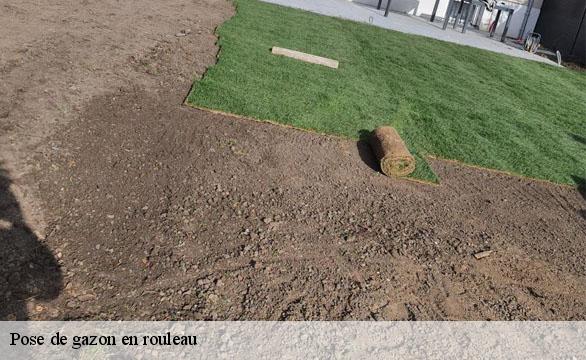 Pose de gazon en rouleau Hauts-de-Seine 