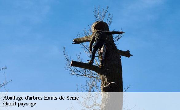 Abattage d'arbres 92 Hauts-de-Seine  Garrit paysage