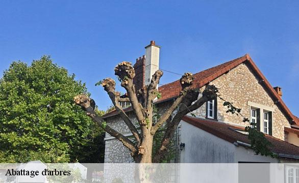 Abattage d'arbres Hauts-de-Seine