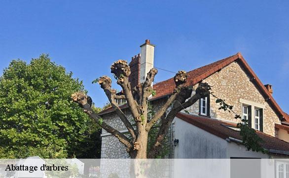 Abattage d'arbres Hauts-de-Seine 