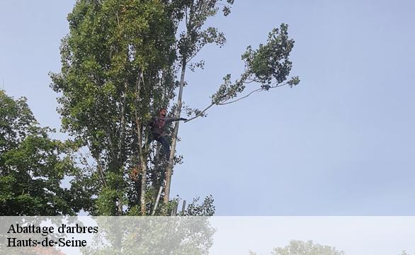 Abattage d'arbres Hauts-de-Seine 