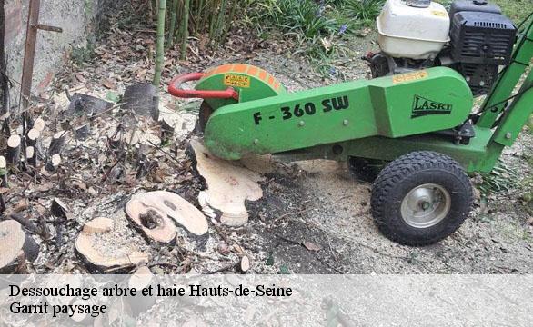 Dessouchage arbre et haie 92 Hauts-de-Seine  Garrit paysage