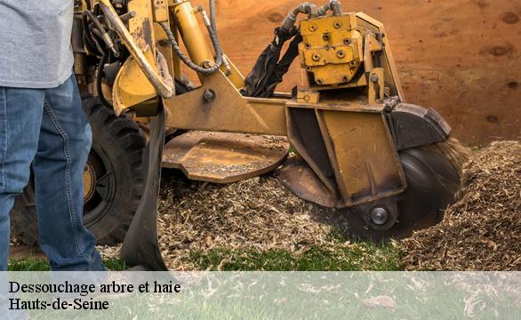 Dessouchage arbre et haie Hauts-de-Seine 