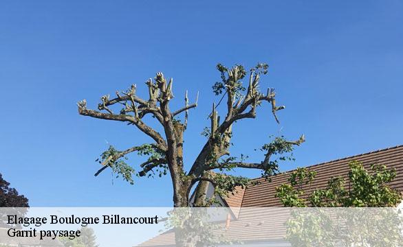 Elagage  boulogne-billancourt-92100 Garrit paysage