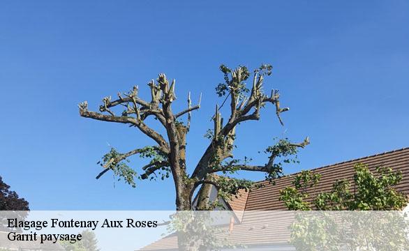 Elagage  fontenay-aux-roses-92260 Garrit paysage