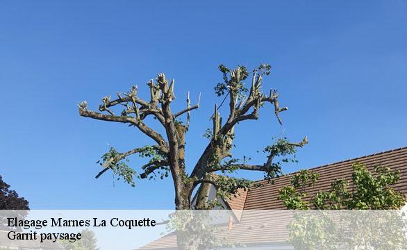 Elagage  marnes-la-coquette-92430 Garrit paysage