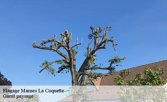Elagage marnes-la-coquette-92430 Garrit paysage