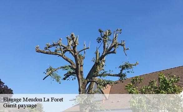 Elagage meudon-la-foret-92360 Garrit paysage