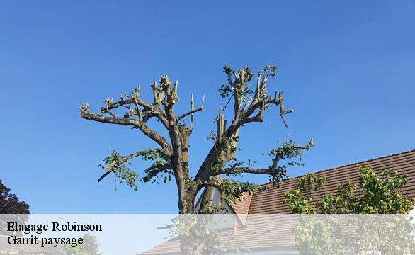 Elagage robinson-92350 Garrit paysage