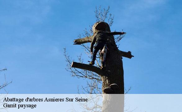 Abattage d'arbres  asnieres-sur-seine-92600 Garrit paysage