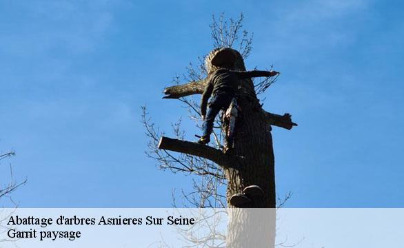 Abattage d'arbres asnieres-sur-seine-92600 Garrit paysage
