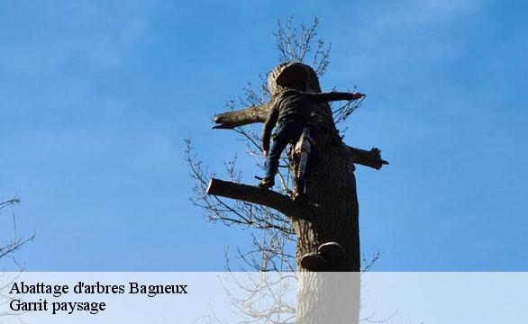 Abattage d'arbres bagneux-92220 Garrit paysage