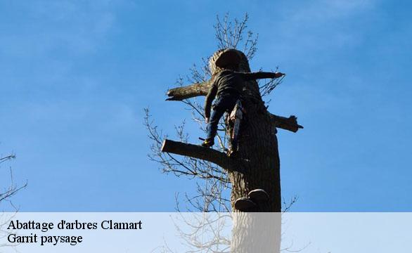 Abattage d'arbres clamart-92140 Garrit paysage