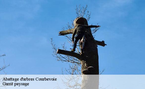 Abattage d'arbres  courbevoie-92400 Franck paysage