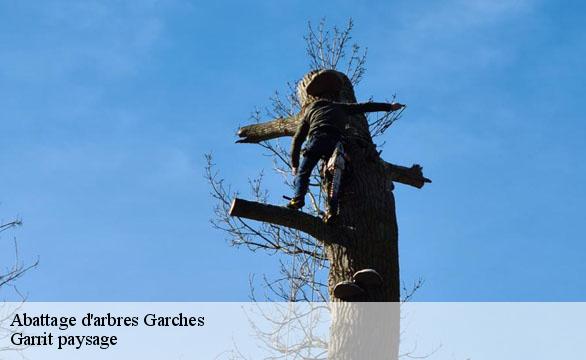 Abattage d'arbres  garches-92380 Garrit paysage