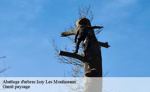 Abattage d'arbres issy-les-moulineaux-92130 Garrit paysage