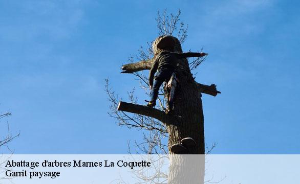 Abattage d'arbres marnes-la-coquette-92430 Garrit paysage