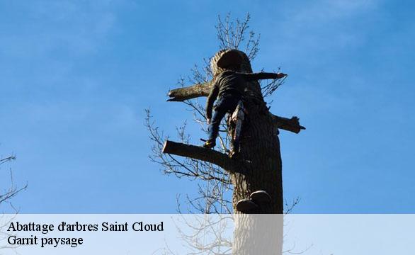 Abattage d'arbres saint-cloud-92210 Garrit paysage