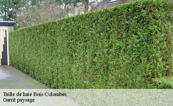 Taille de haie bois-colombes-92270 Garrit paysage