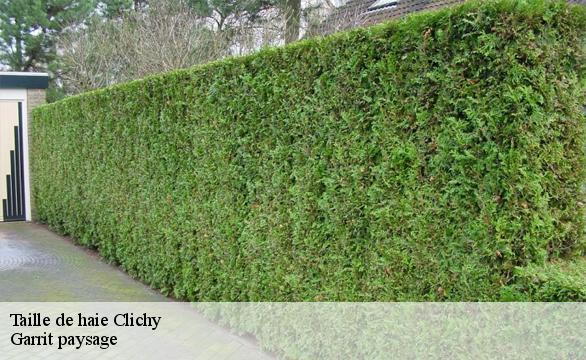Taille de haie clichy-92110 Garrit paysage