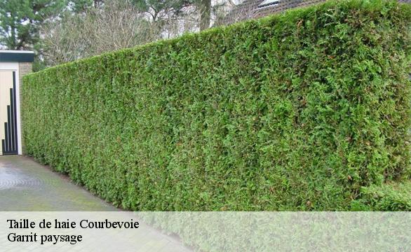 Taille de haie courbevoie-92400 Garrit paysage