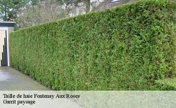 Taille de haie fontenay-aux-roses-92260 Garrit paysage