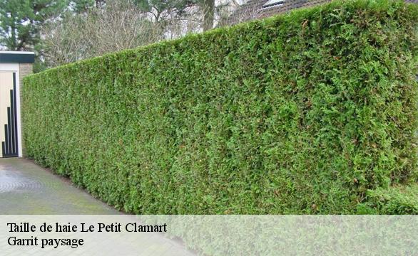 Taille de haie le-petit-clamart-92140 Garrit paysage