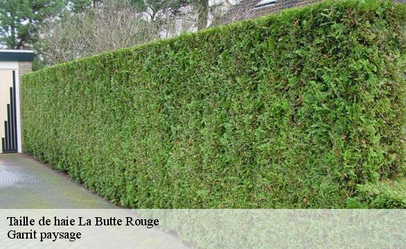 Taille de haie la-butte-rouge-92290 Garrit paysage