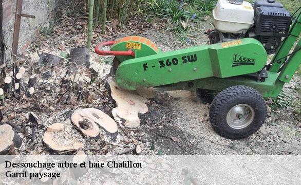 Dessouchage arbre et haie chatillon-92320 Garrit paysage