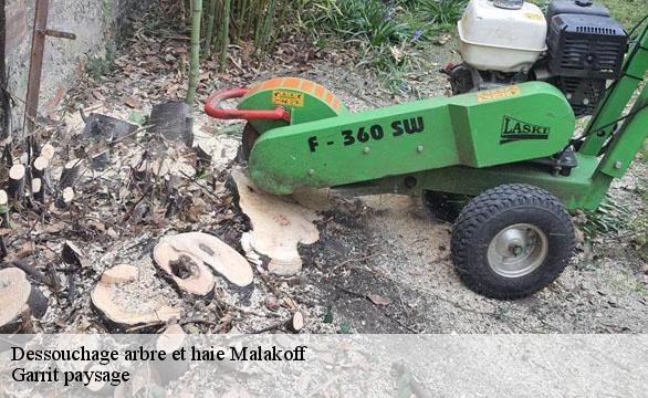 Dessouchage arbre et haie  malakoff-92240 Garrit paysage