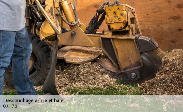 Dessouchage arbre et haie 92170