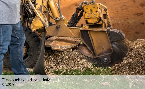 Dessouchage arbre et haie 92290