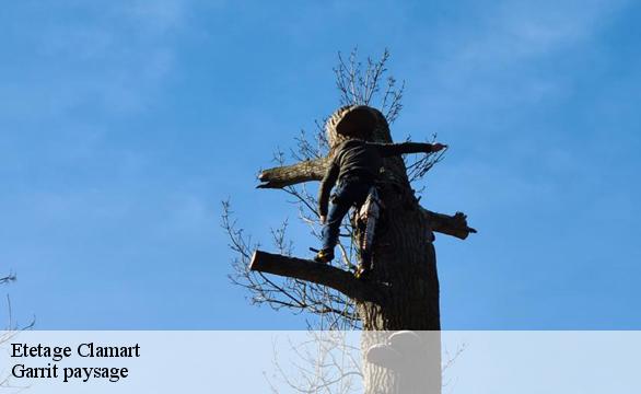 Etetage clamart-92140 Franck paysage
