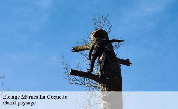 Etetage  marnes-la-coquette-92430 Garrit paysage