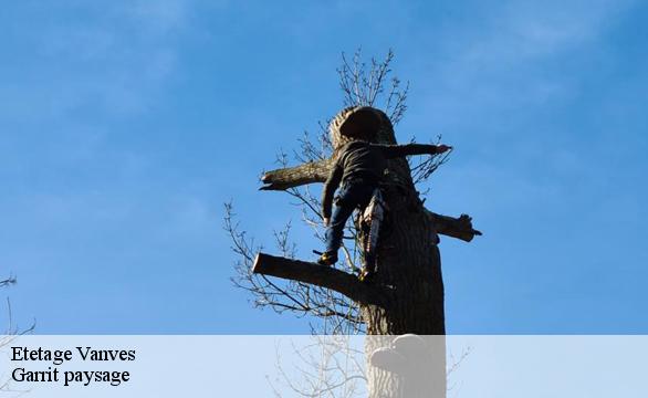 Etetage vanves-92170 Franck paysage