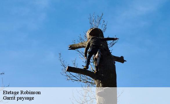Etetage robinson-92350 Franck paysage