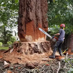 abattage-d-arbres-92